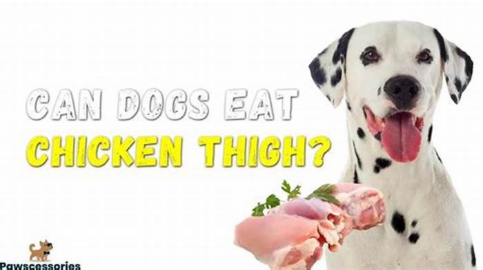 Are chicken thighs too fatty for dogs