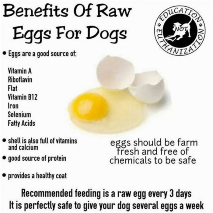 Are eggs low-fat for dogs?