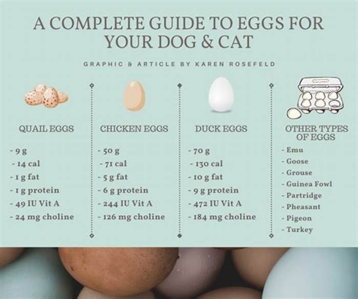 Are eggs low in fat for dogs?