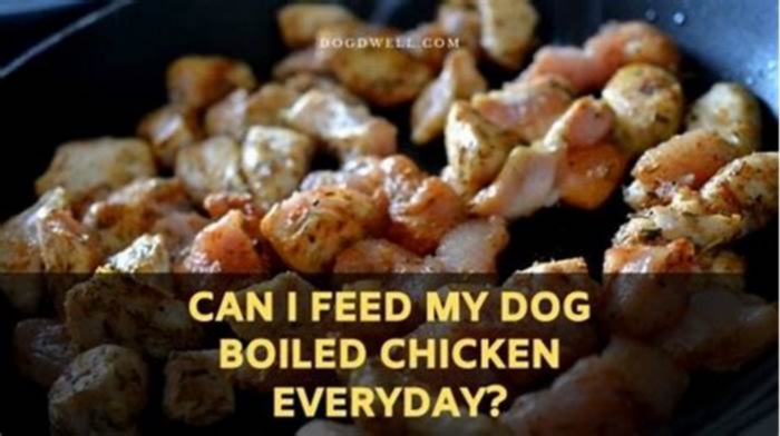 Can I feed my dog boiled chicken every day?