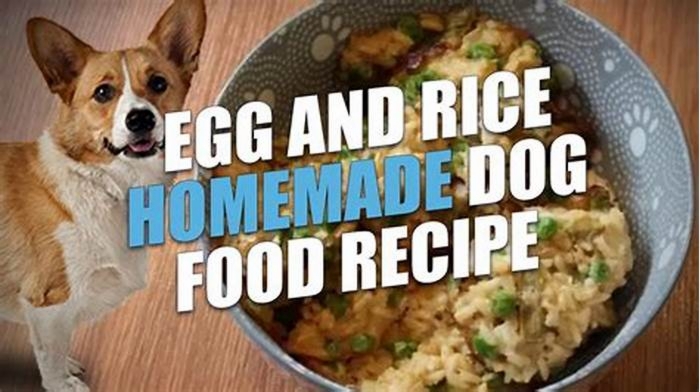 Can I feed my dog rice and eggs every day?