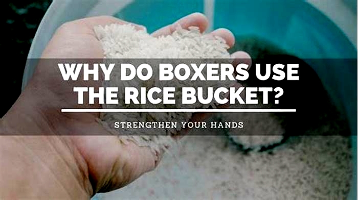 Can boxers eat rice?