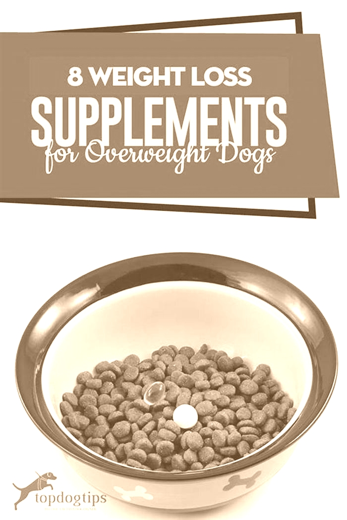 Can you give dogs weight loss pills?