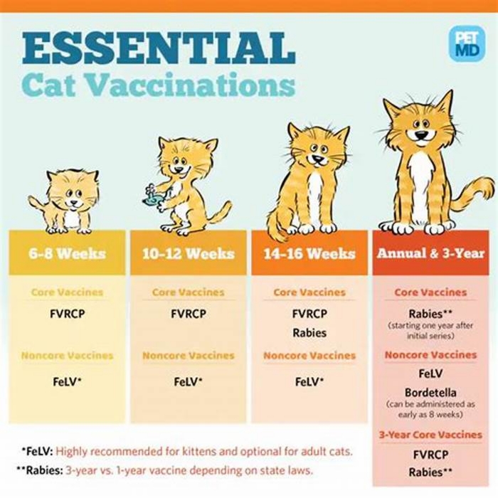 Do cats need monthly preventatives?