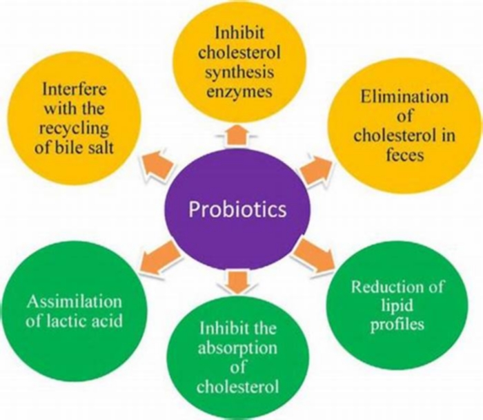 Do probiotics reduce obesity?