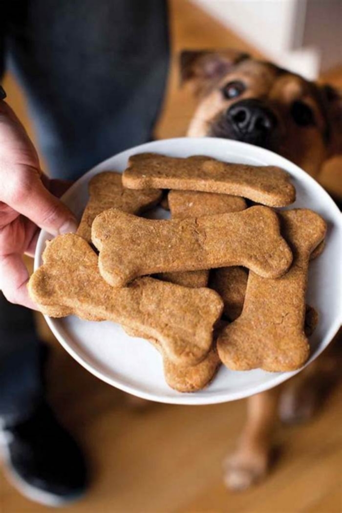 Do treats make my dog fat?