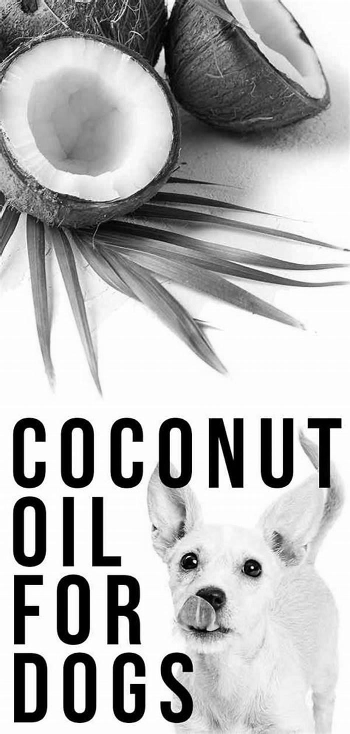 Does coconut oil put weight on dogs?