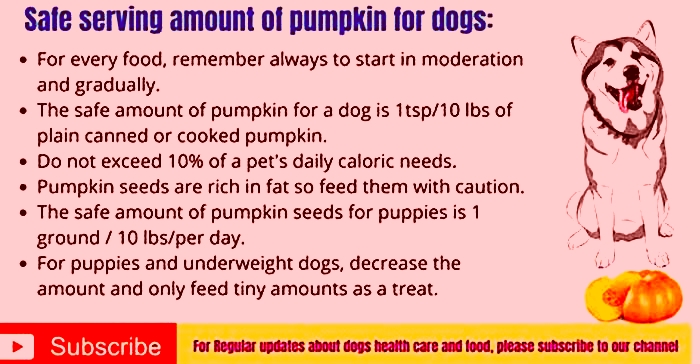 Does pumpkin help dogs lose weight?