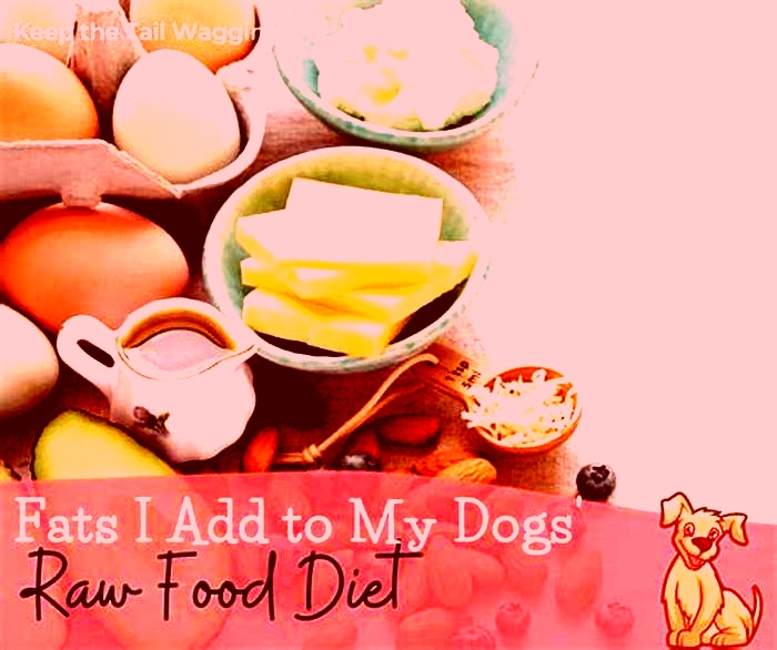 How can I add fat to my dog s diet naturally