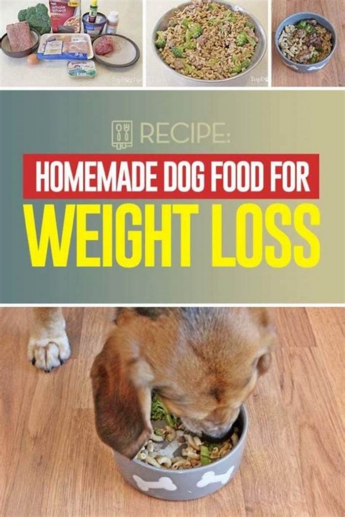 How can I reduce my dogs fat?