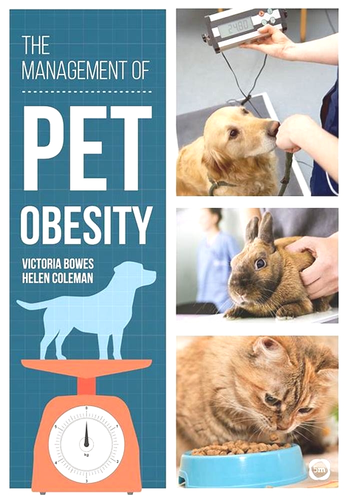 How do vets treat obesity