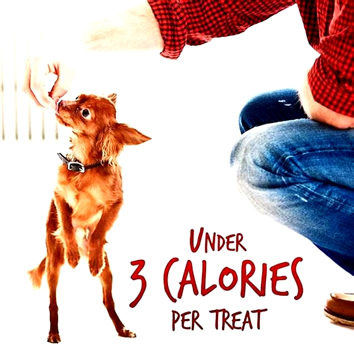 How do you treat a skinny dog?