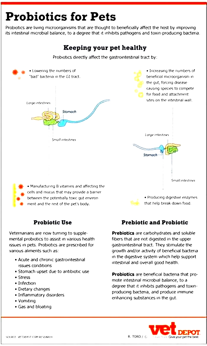 How long can a dog stay on probiotics