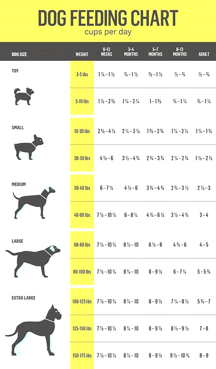 How much dog food per day by weight?