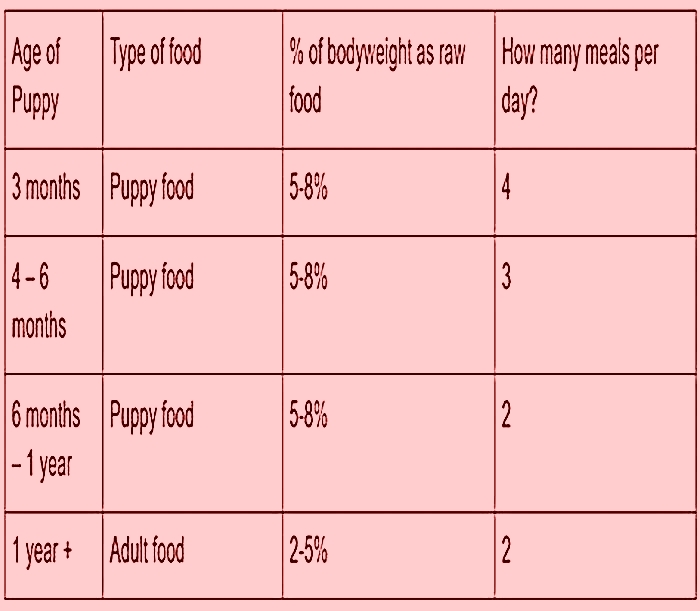 How much rice for dog by weight in kg?