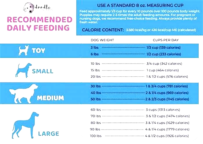 How much to feed a dog by weight in kg per day?