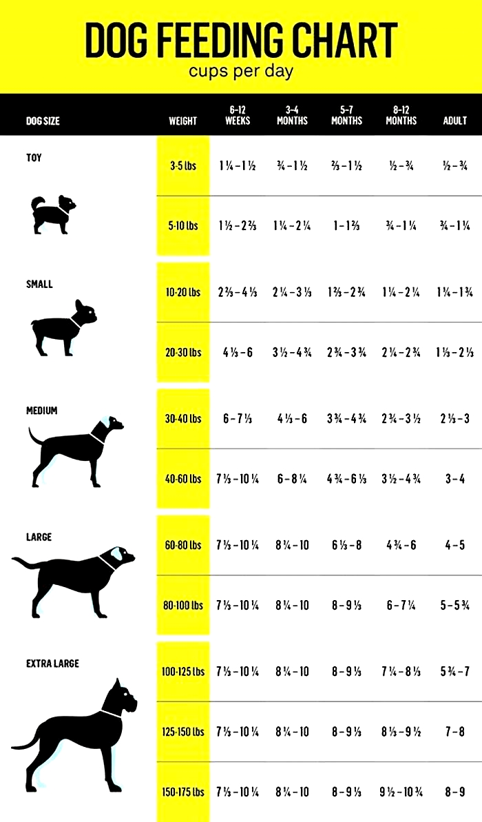 How much to feed a dog by weight in kg