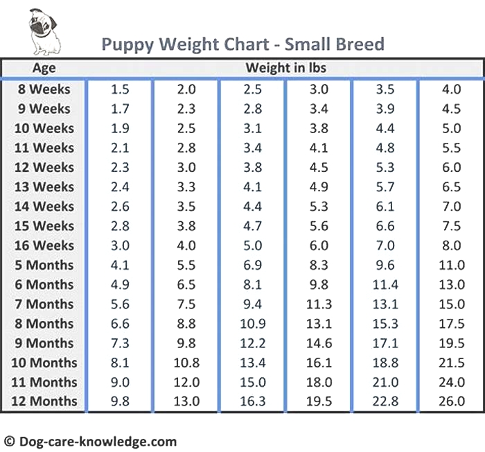 Is 2kg a lot for a dog to lose?