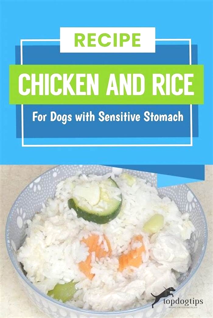 Is chicken and rice good for weight loss in dogs