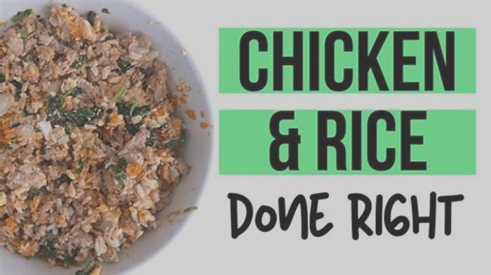 Is chicken and rice low fat for dogs