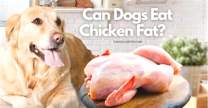 Is chicken low-fat for dogs?