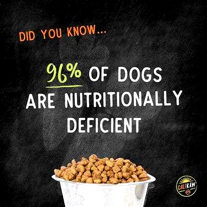 Is dog kibble unhealthy