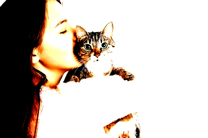 Is it Haram to kiss a cat?