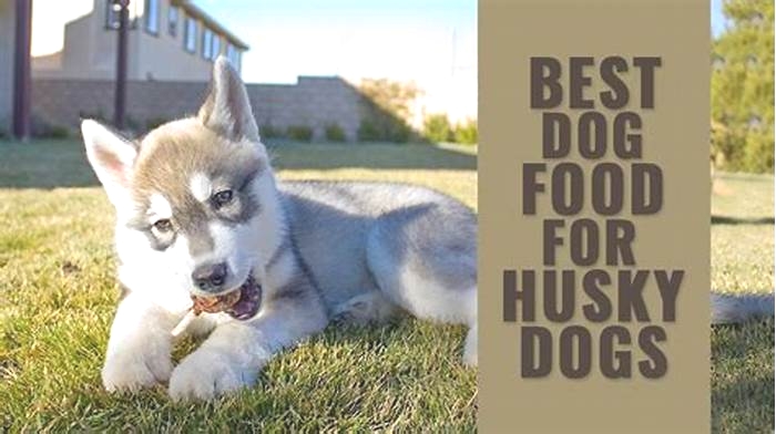 Is it OK for Husky to eat once a day