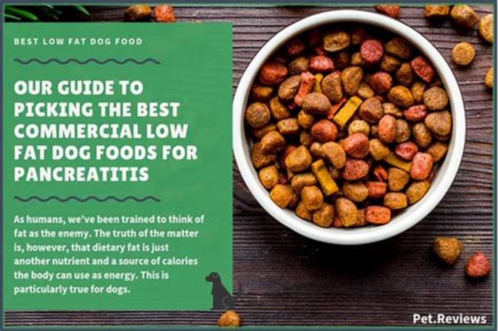 Is low fat dog food bad for dogs