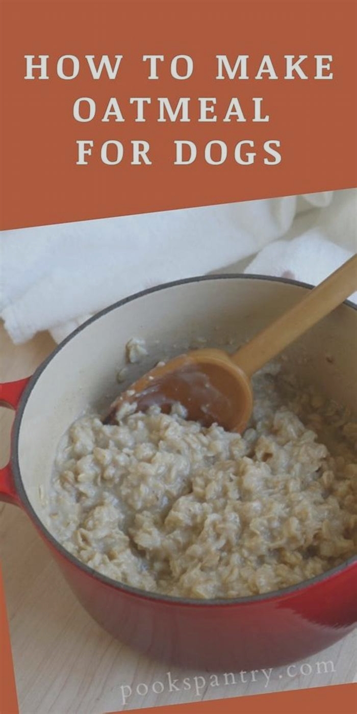 Is oatmeal or rice better for dogs