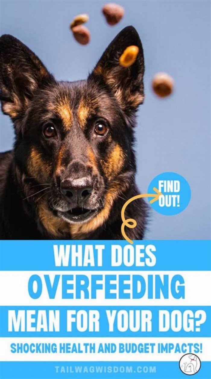 Is overfeeding a dog abuse?