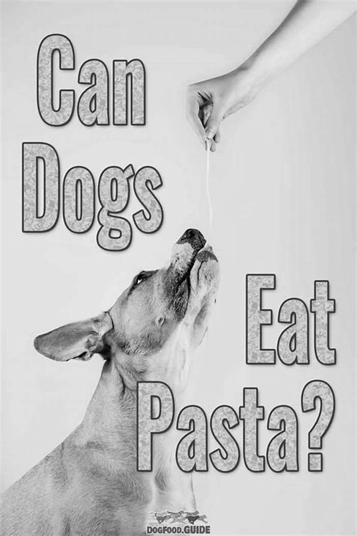 Is pasta low fat for dogs