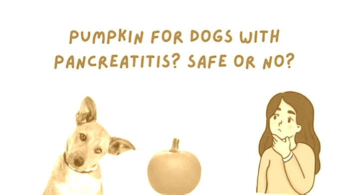 Is pumpkin good for dogs with pancreatitis?