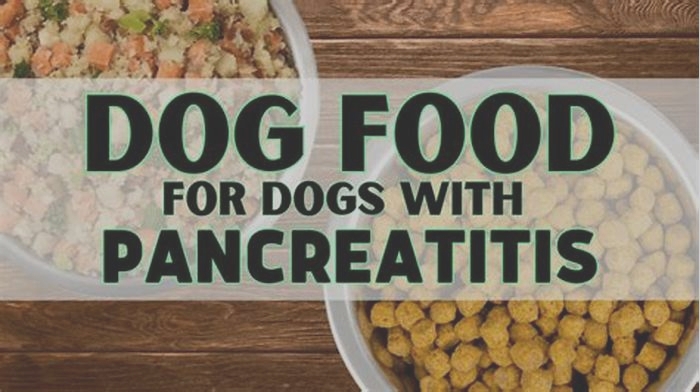 Is wet food better for dogs with pancreatitis