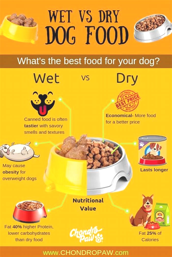 Is wet or dry food better for overweight dogs