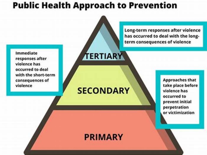 What are 5 examples of primary prevention