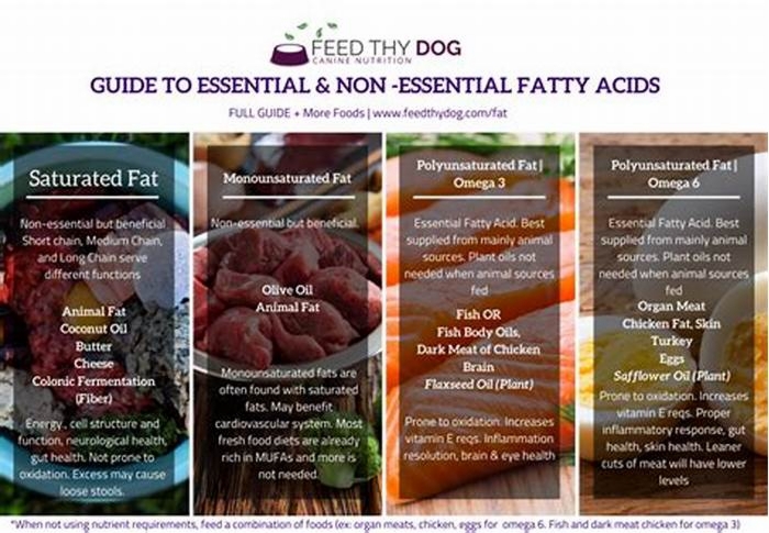 What are the best fats for dogs