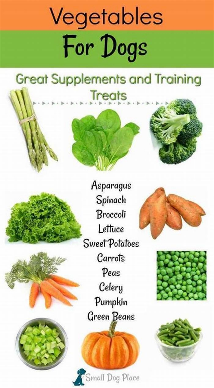 What are the best vegetables for dogs