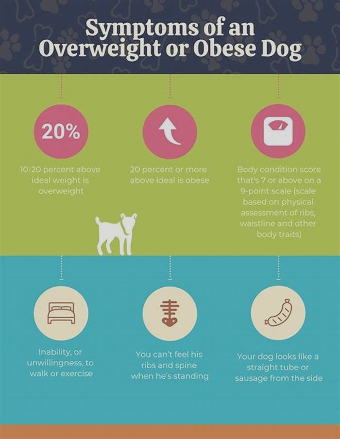 What diseases cause obesity in pets?