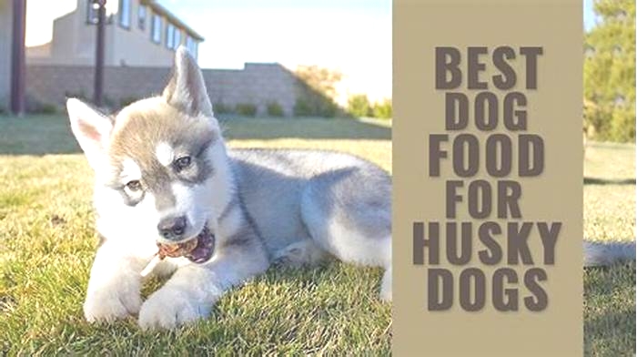 What food do you feed Huskies?