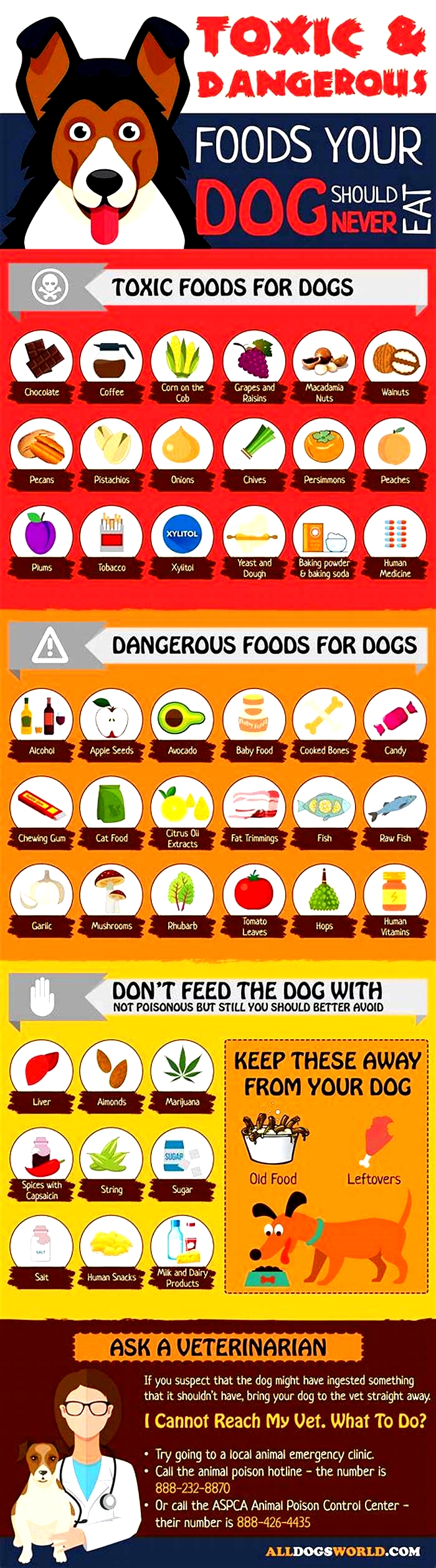 What foods are bad for Boxer dogs