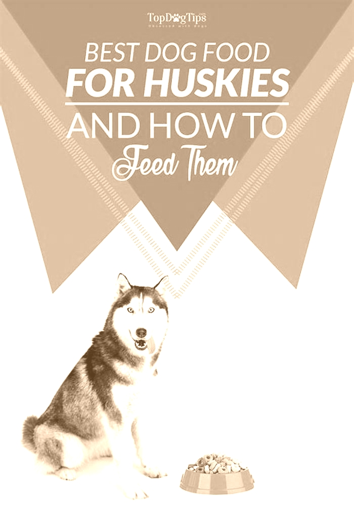 What foods are huskies allergic to?