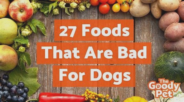 What foods are too fatty for dogs?