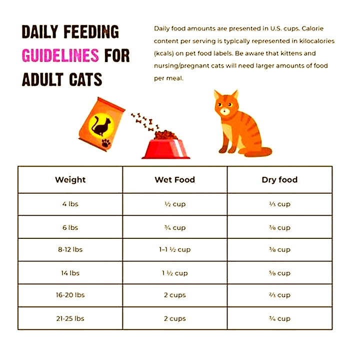 What foods help cats lose weight