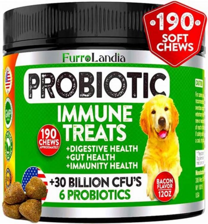 What is a natural probiotic for a dog?