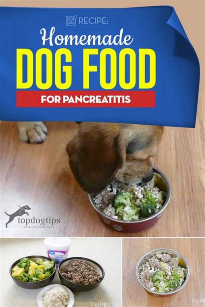 What is low-fat homemade dog food for pancreatitis?