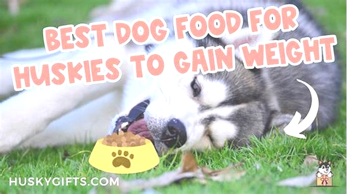 What is the best food for huskies to gain weight?