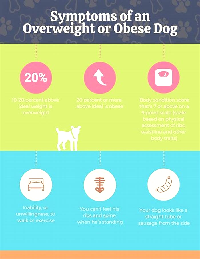 What is the main cause of pet obesity?