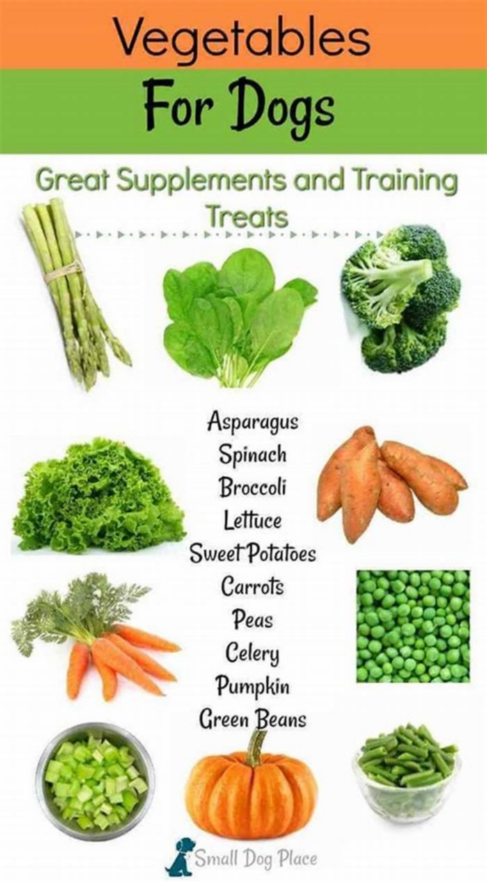 What vegetables are good for dog weight loss