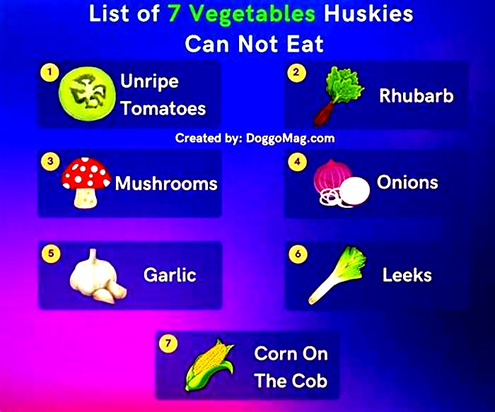 What vegetables can Huskies not eat?